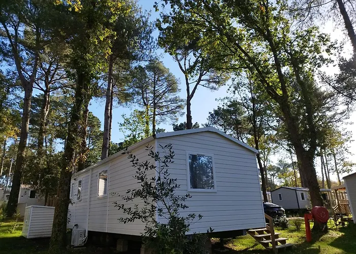 O Coeur D'eden ,2 Mobilhomes L'original Et Le Bo'aime 아파트 *